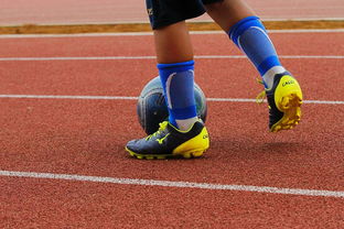 开云网页版登录入口-蛙泳对决奥地利游出新速度，奥运会蛙游泳决赛视频